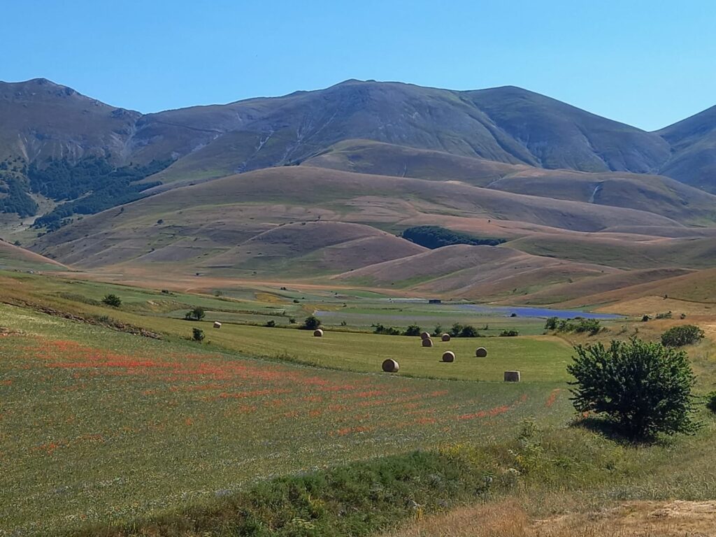 Piana castelluccio