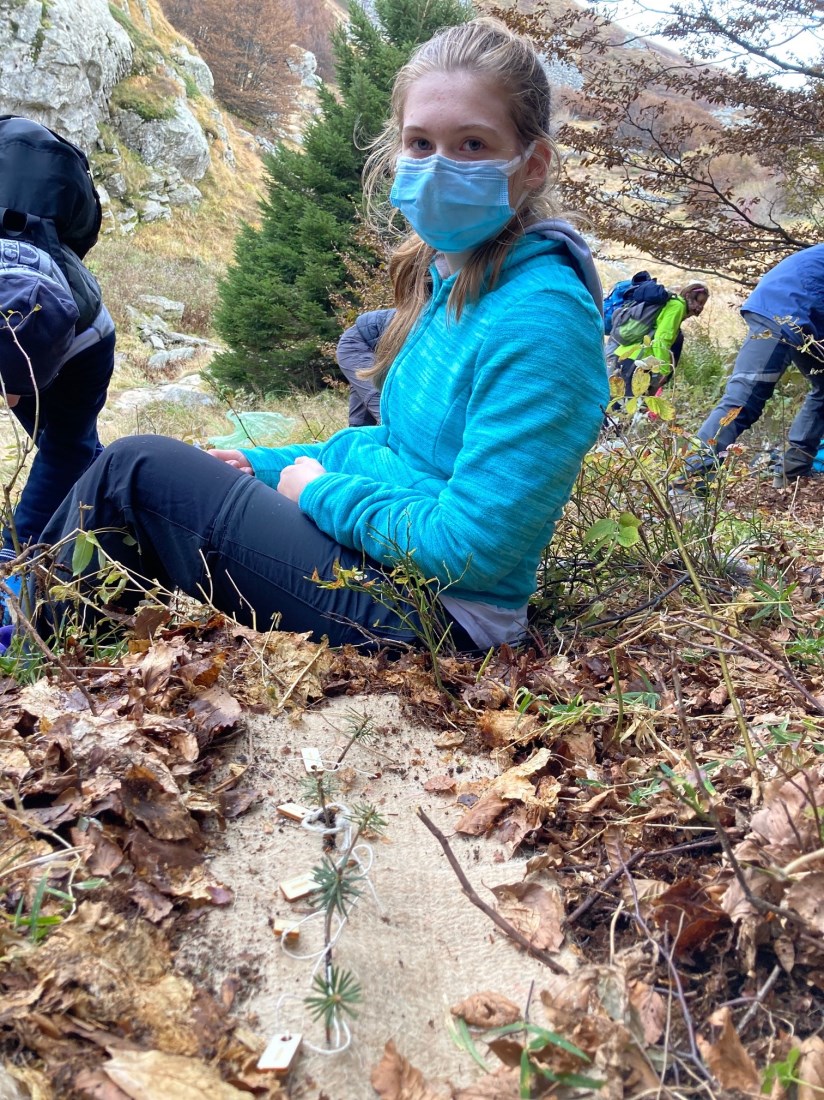 Un bosco per il pianeta