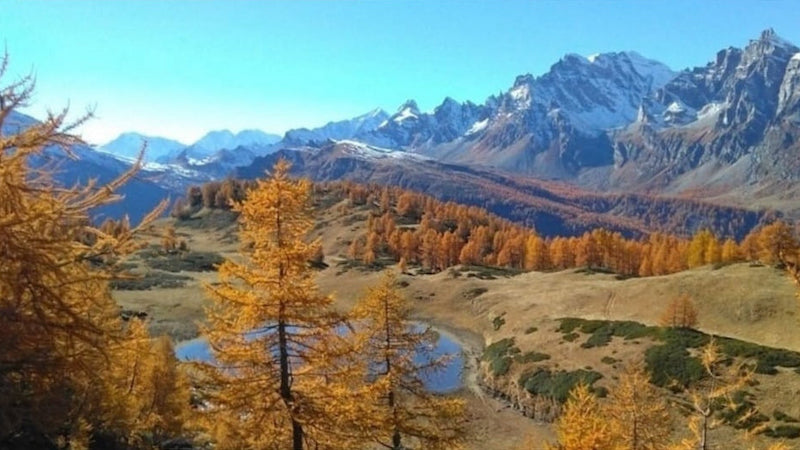 Alpe Devero