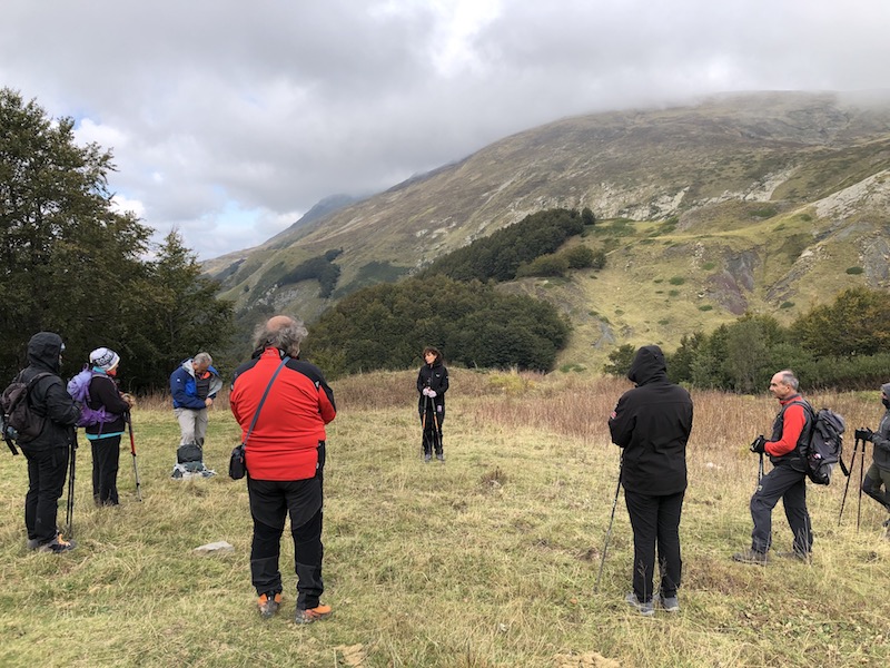 Terapia forestale Rifugio Battisti