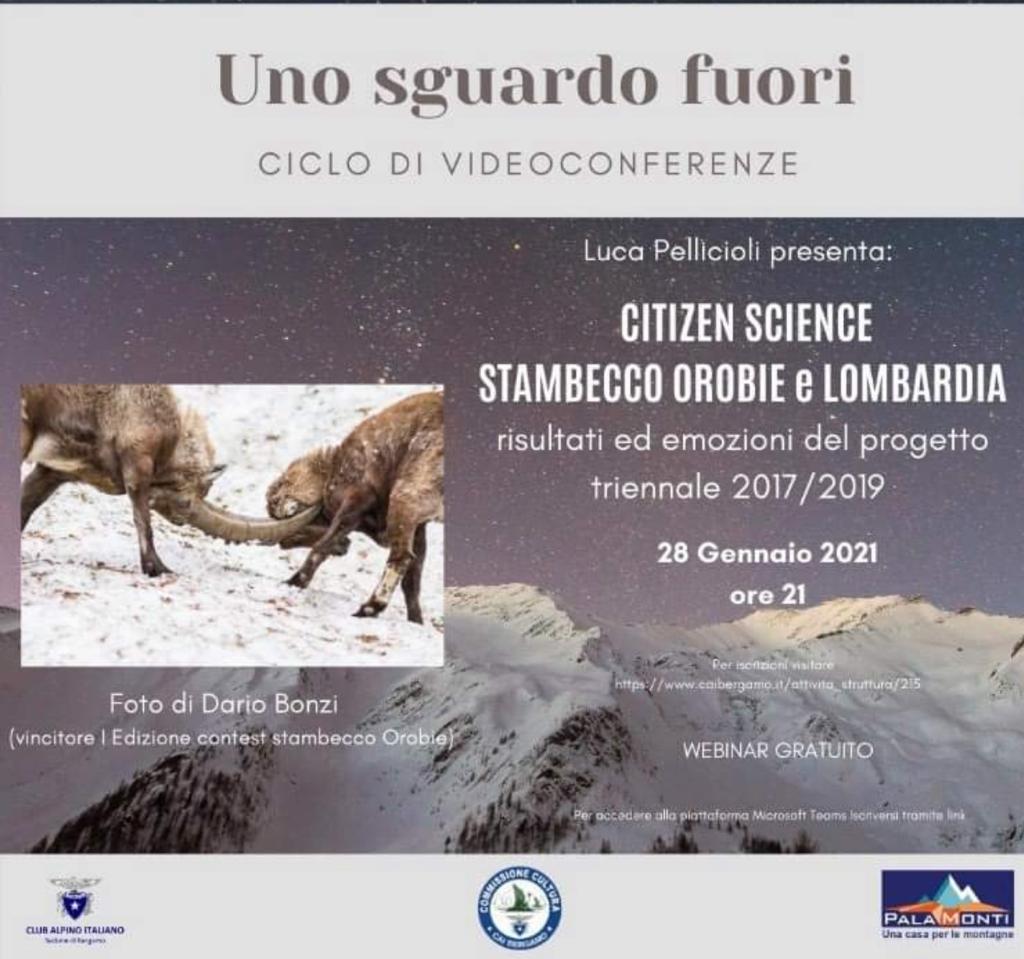 Stambecco Orobie serata Cai Bergamo