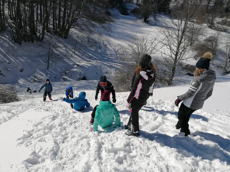 Family Parma neve