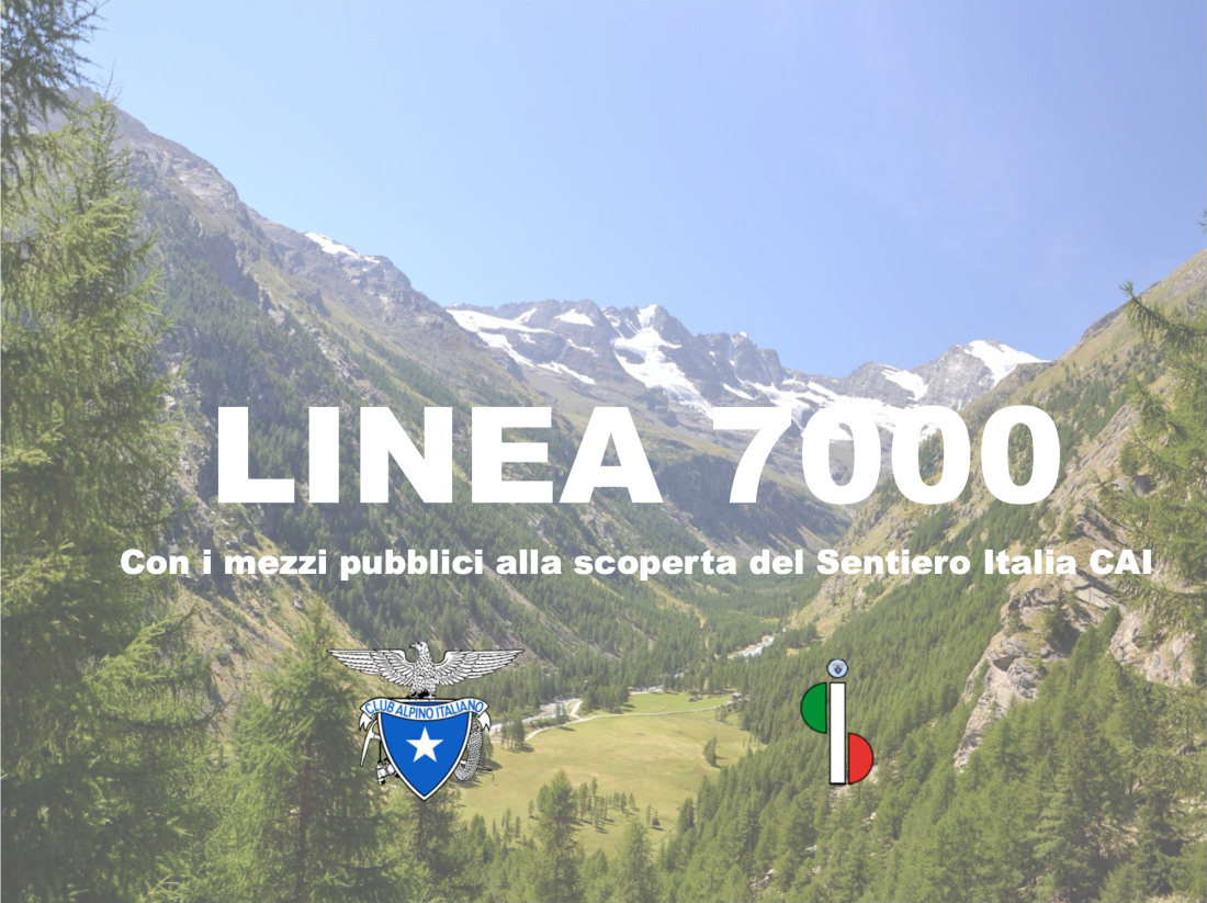 Linea 7000