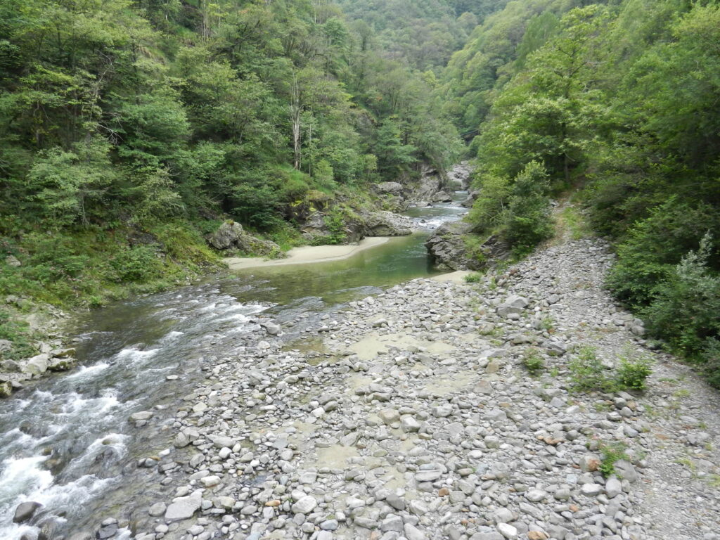 Torrente Sessera diga