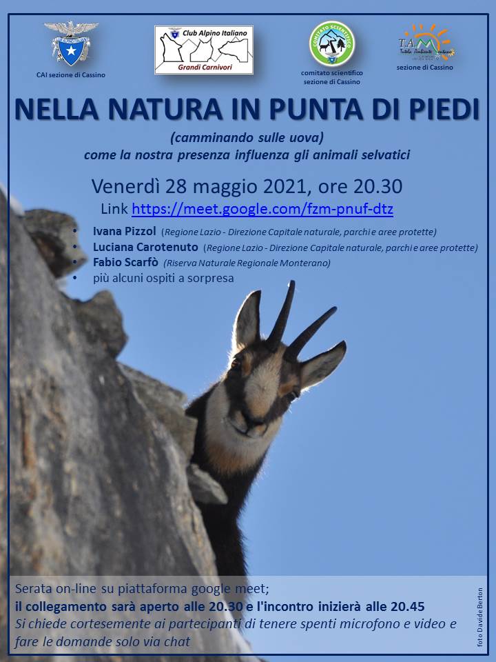 Natura in punta di piedi