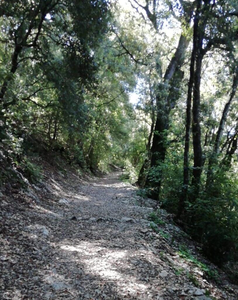 Bosco sacro di Spoleto