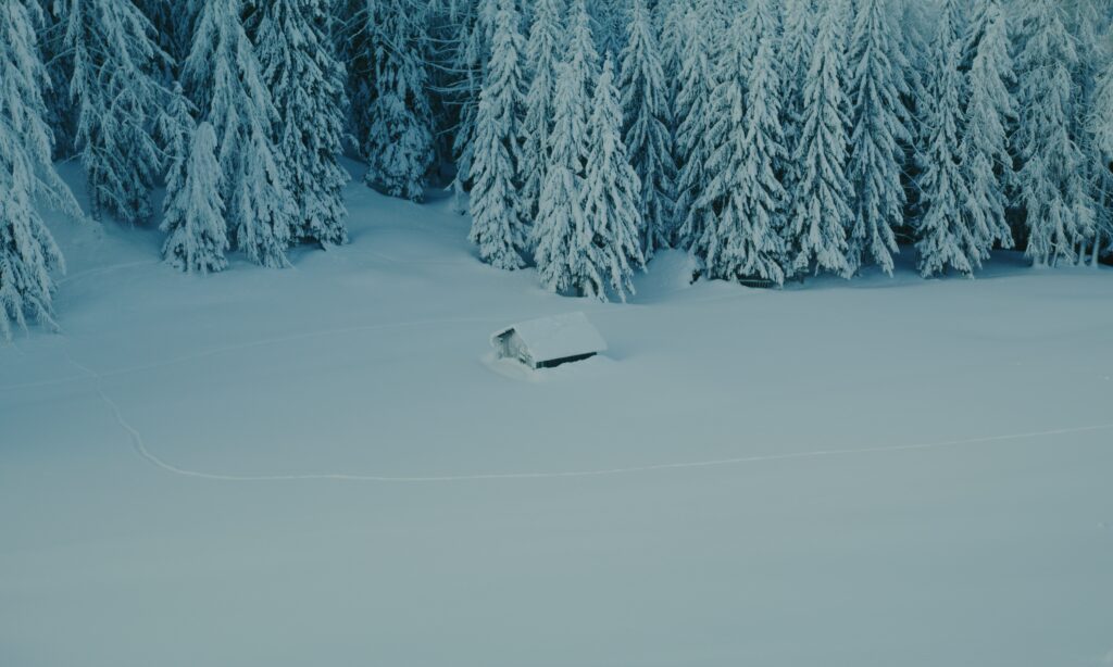 Film_L'ANNO DEI SETTE INVERNI di Marco Zuin