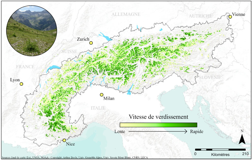 Mappa rinverdimento