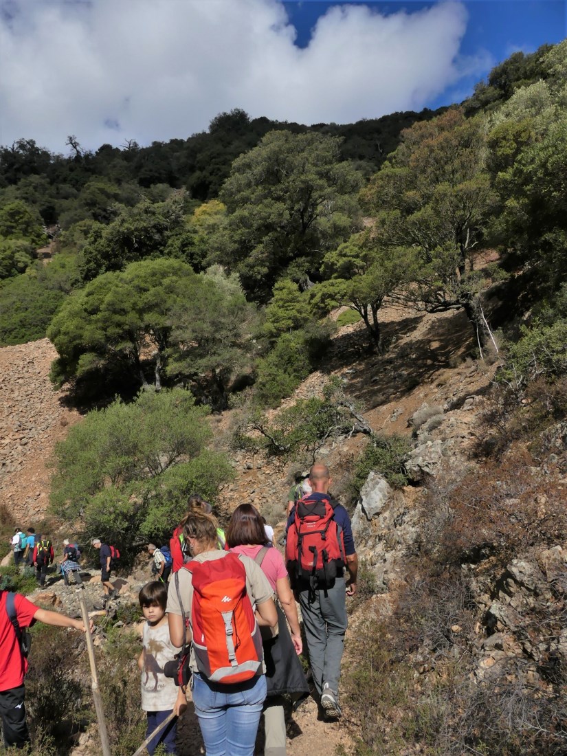 Escursione Foresta Tuviois 