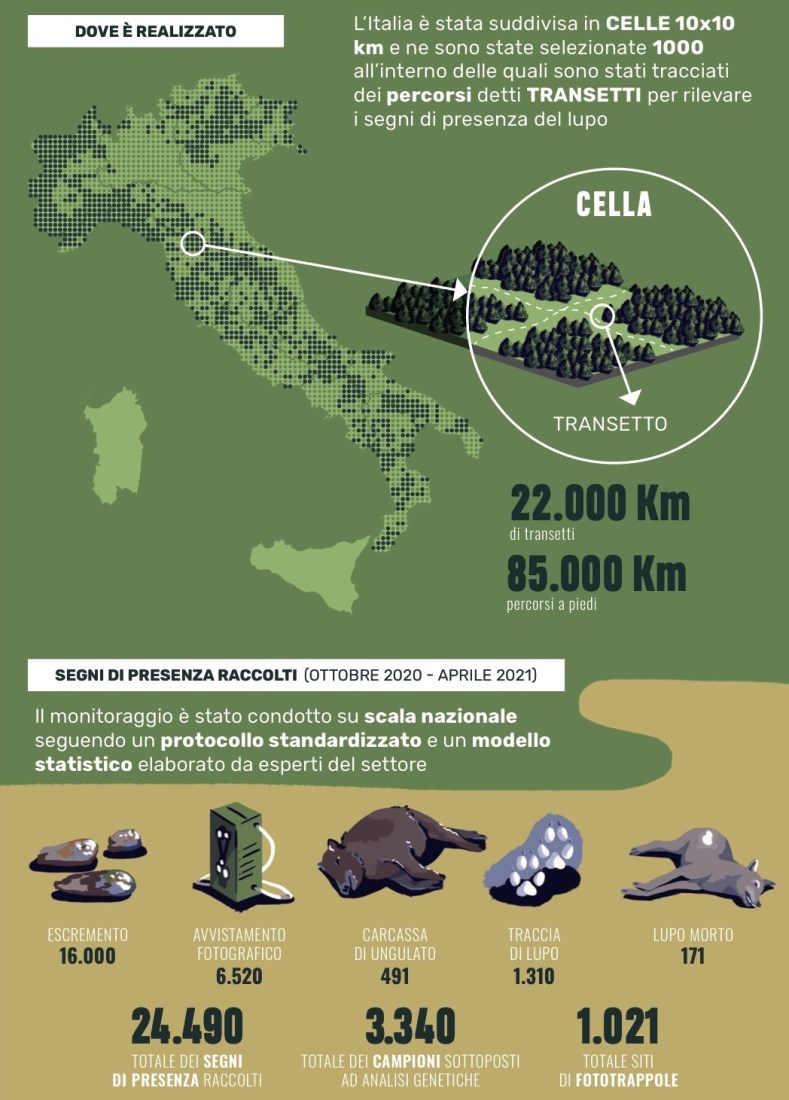 infografica1_monitoraggio_lupo_campioni raccolti