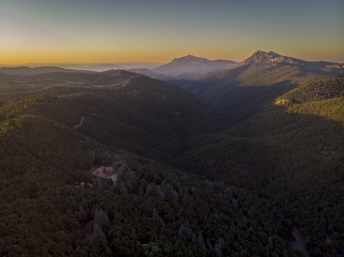 Foresta di Montes