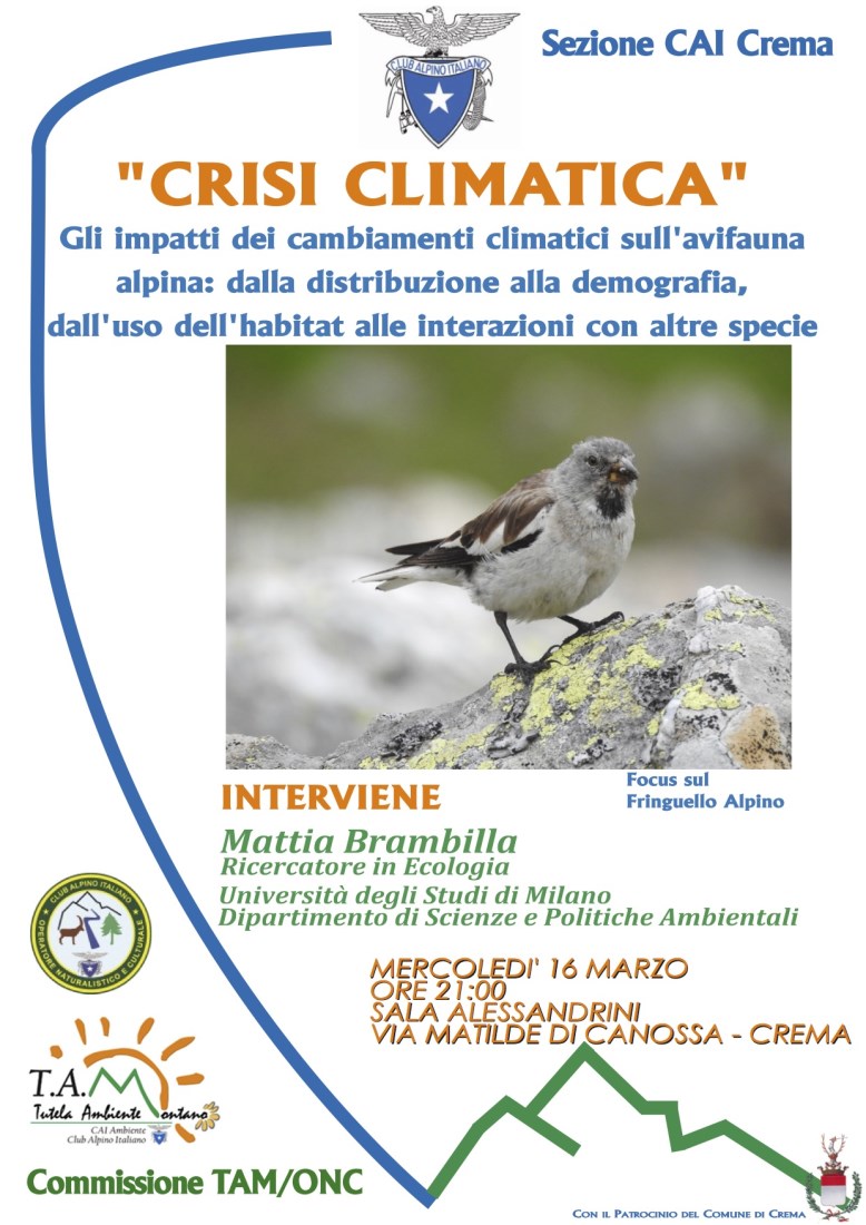 SERATA AVIFAUNA