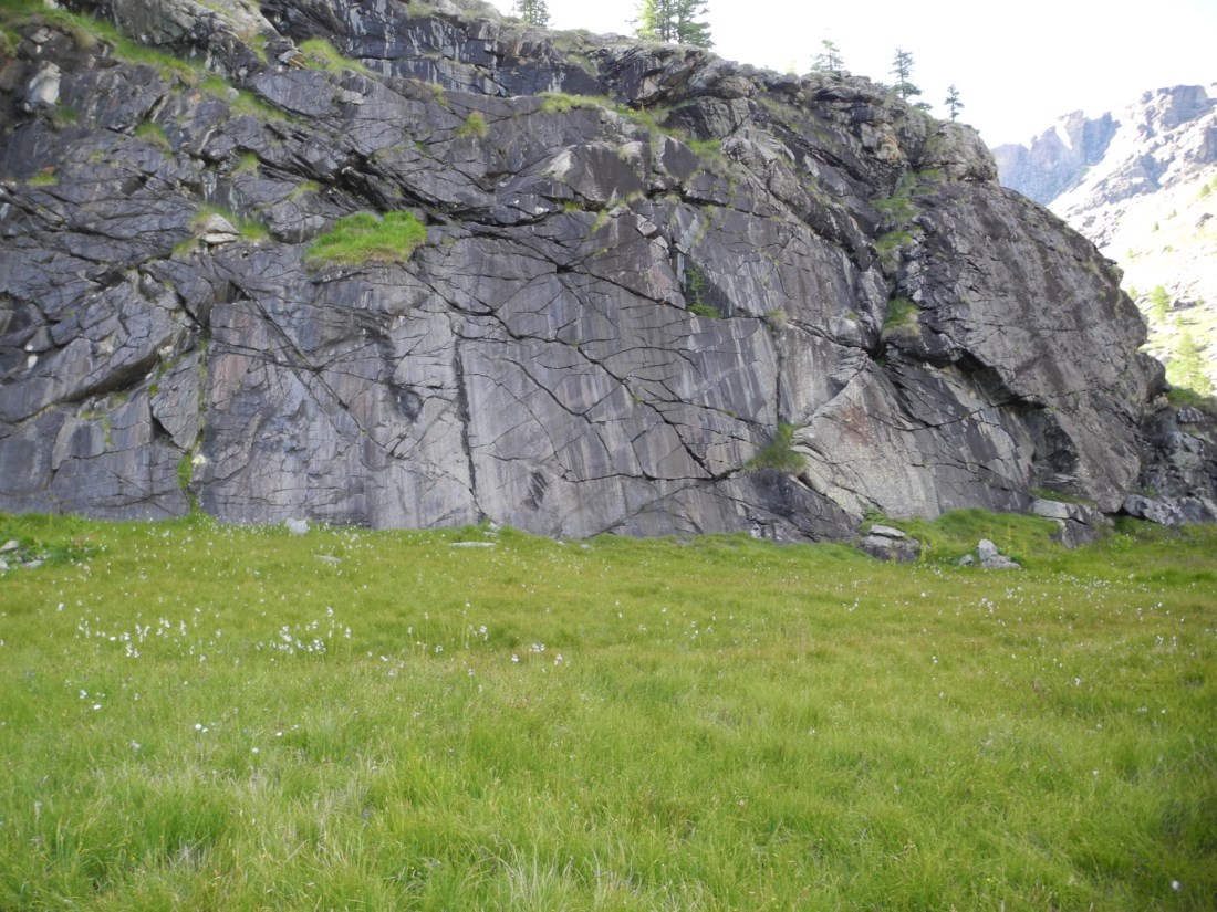 Serpentiniti al Pianoro di Tzere © Ripartire dalle Cime Bianche - Derivate dalla rocce profonde del pianeta Terra