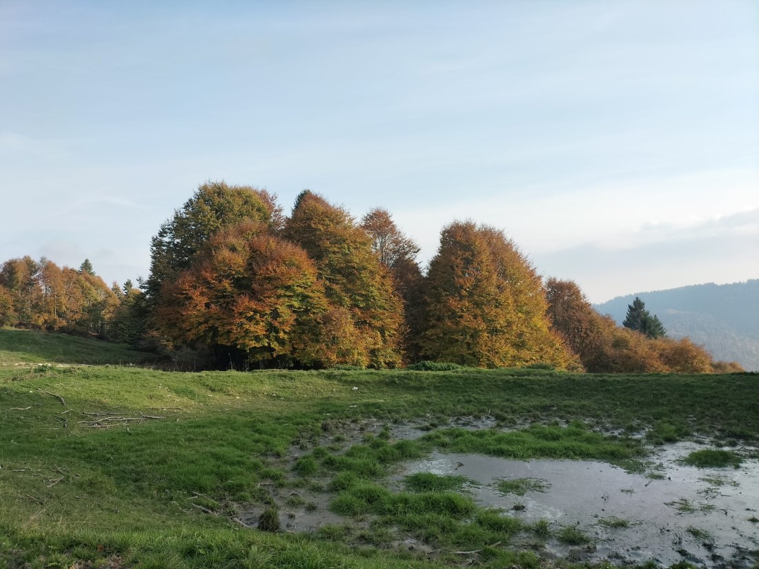 Pozza d'alpeggio sull'Altopiano dei Sette Comuni © Antonio Paganin