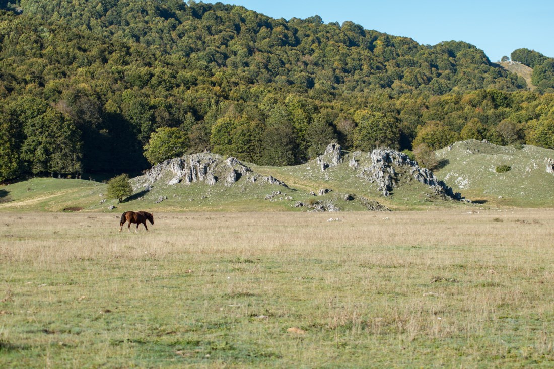 Camposecco, Wikimedia Commons