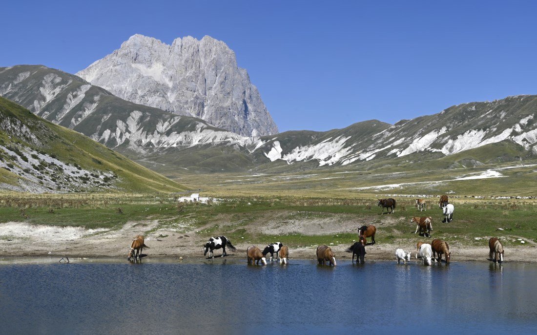 Parco nazionale del Gran Sasso e dei monti della Laga, Wikimedia